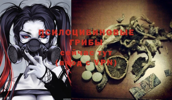 гашик Алексеевка