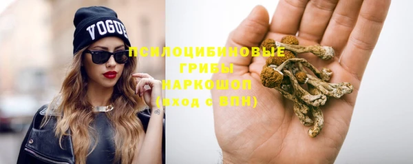 спиды Алзамай