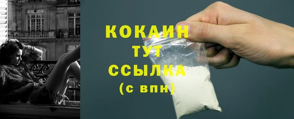 спиды Алзамай