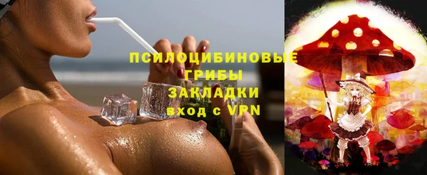 гашик Алексеевка