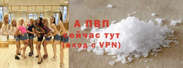 гашик Алексеевка